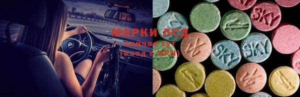 дживик Карпинск